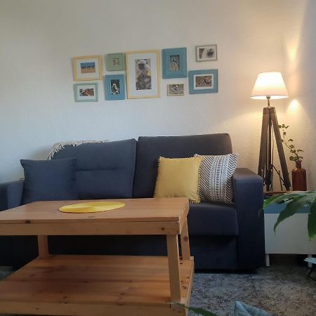 Bonito Y Coqueto Apartamento 科爾多瓦 外观 照片