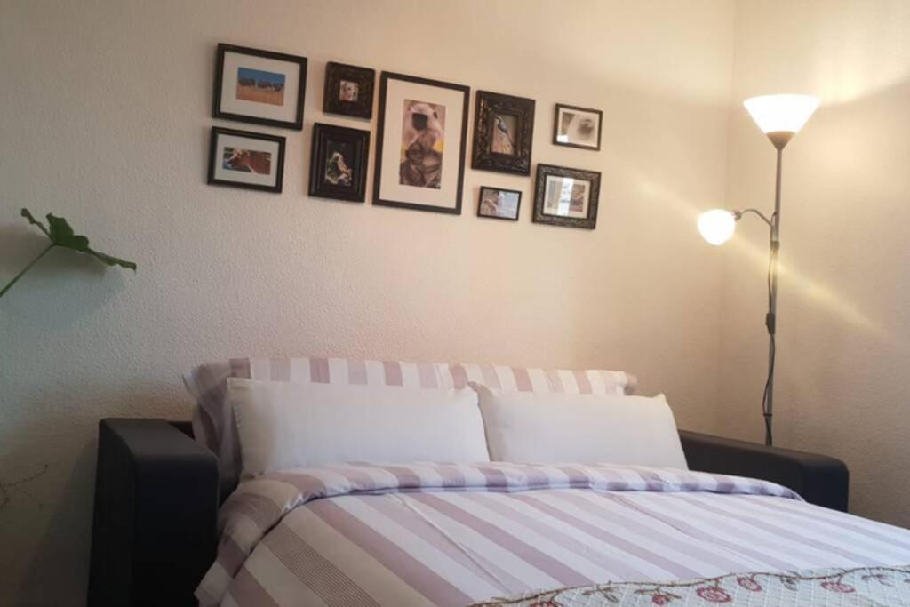 Bonito Y Coqueto Apartamento 科爾多瓦 外观 照片