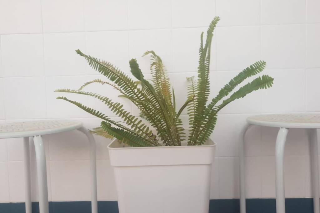Bonito Y Coqueto Apartamento 科爾多瓦 外观 照片