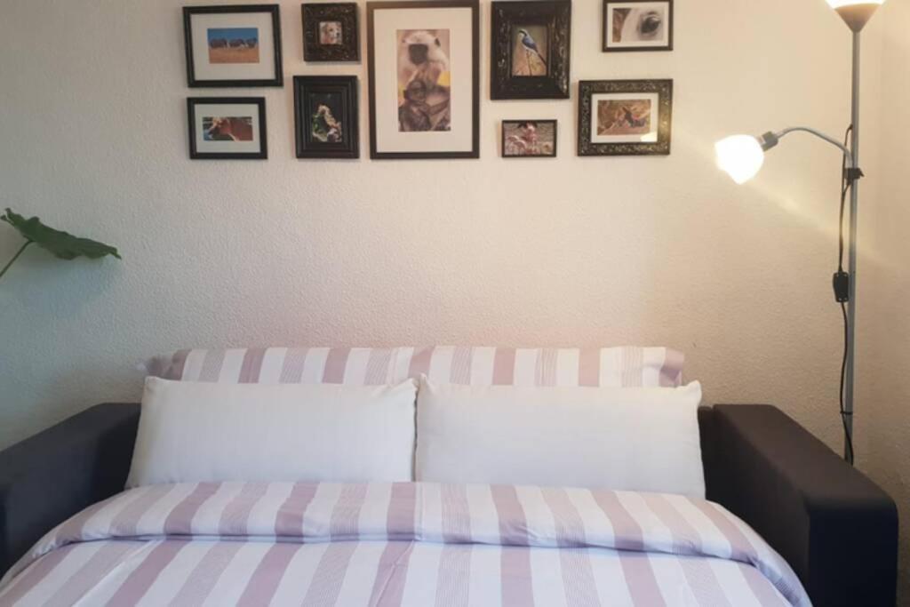 Bonito Y Coqueto Apartamento 科爾多瓦 外观 照片