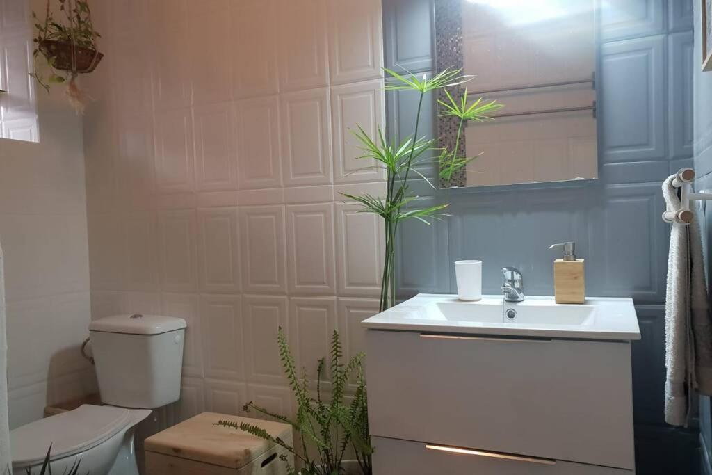 Bonito Y Coqueto Apartamento 科爾多瓦 外观 照片