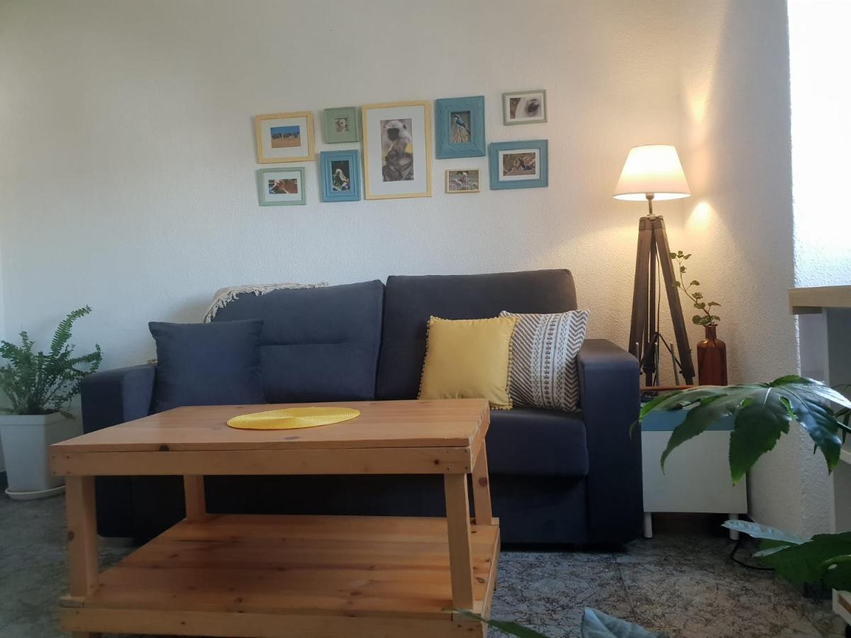 Bonito Y Coqueto Apartamento 科爾多瓦 外观 照片